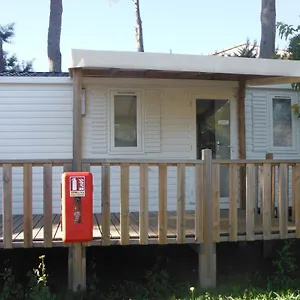 L'eléphant Camping